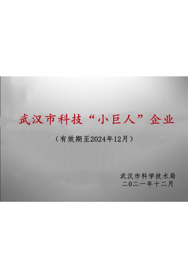 武汉市科技“小巨人”企业